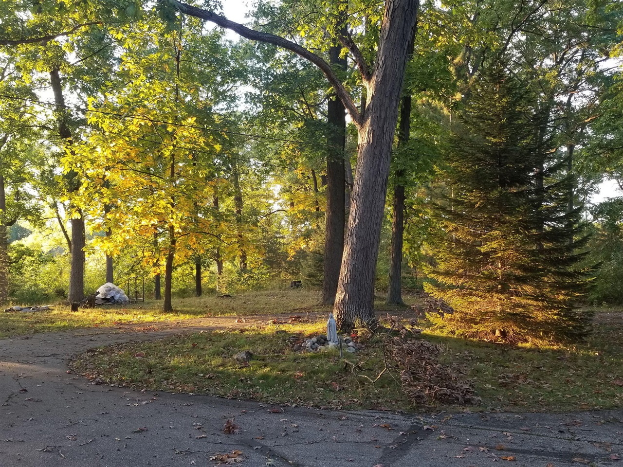 main property photo 49