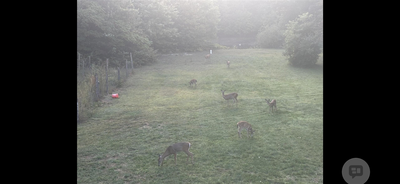 main property photo 63