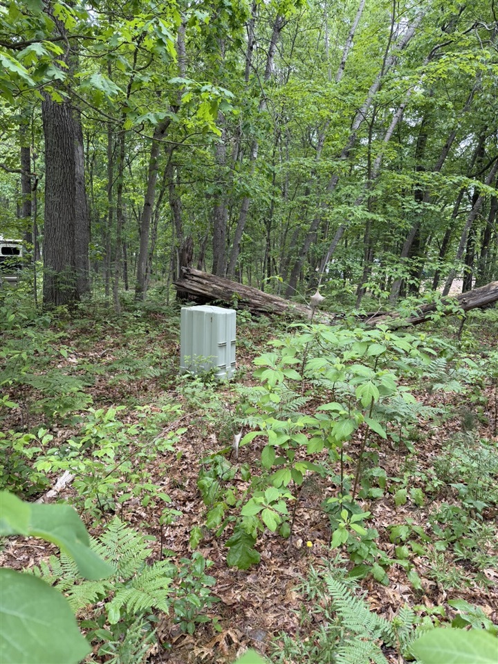 main property photo 6