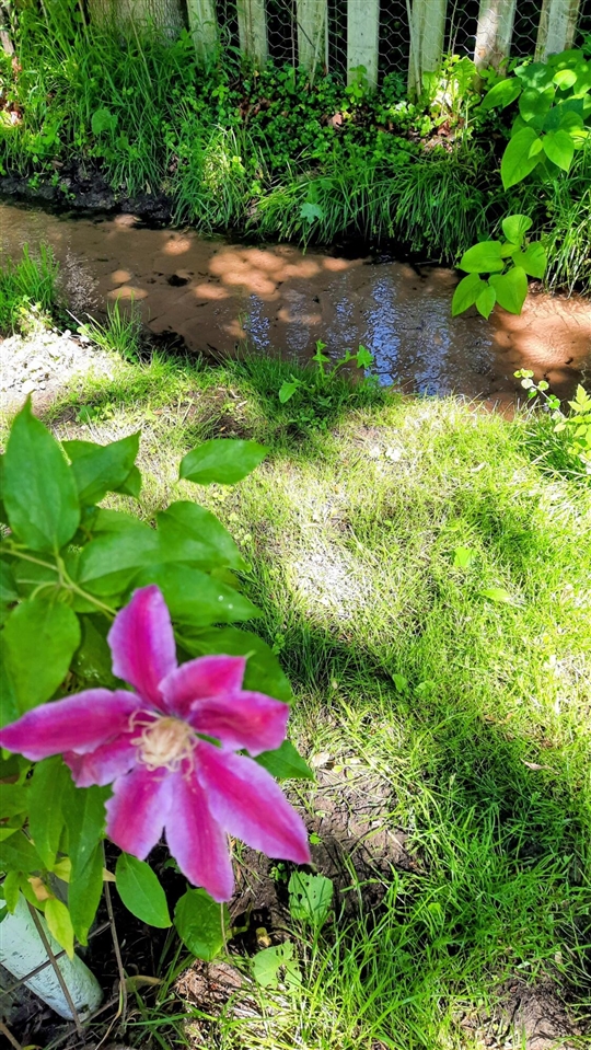 main property photo 68