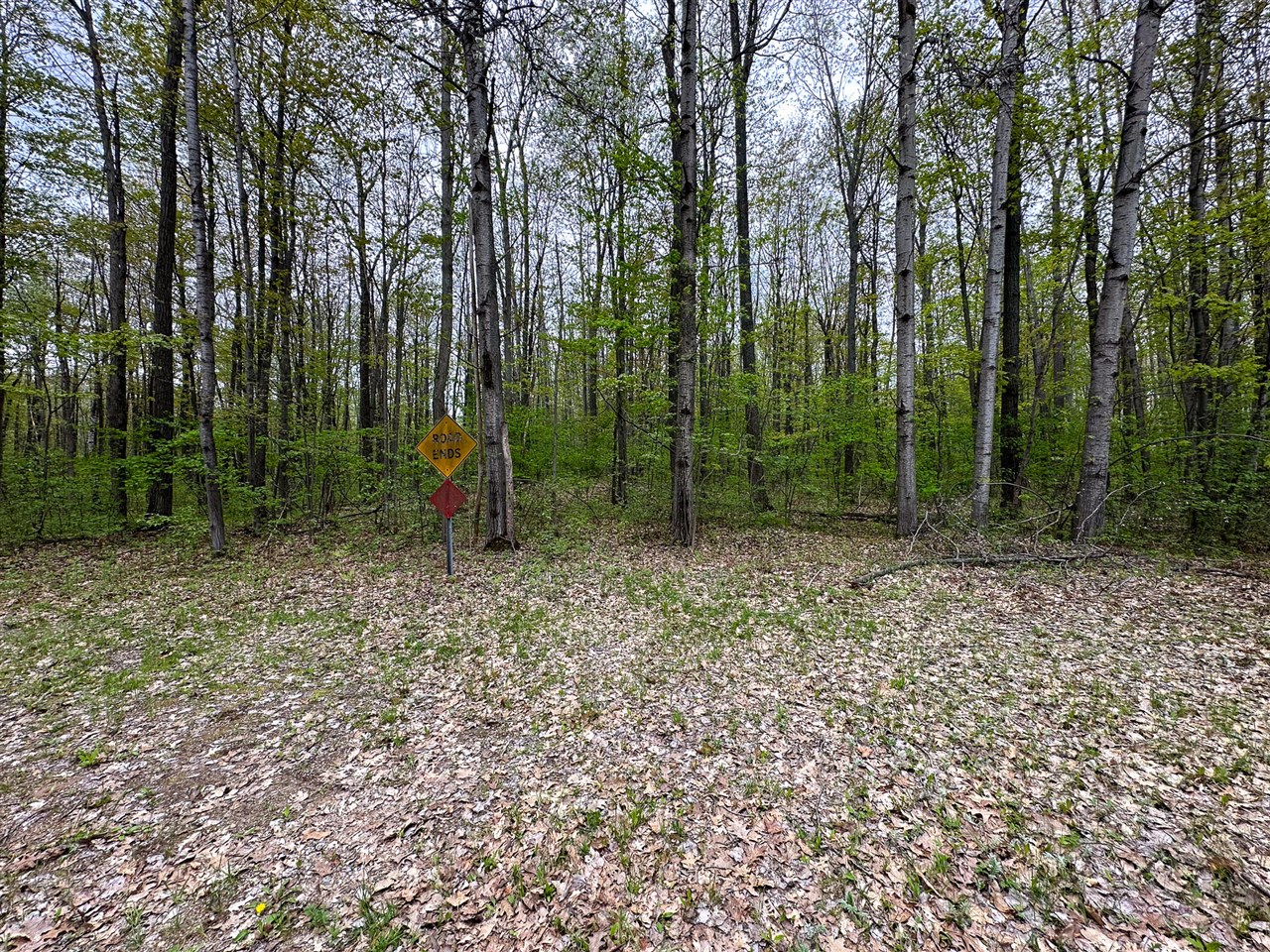 property viewer photo 3