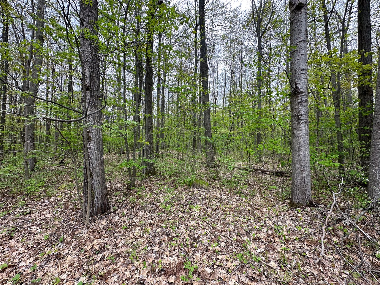 property viewer photo 4