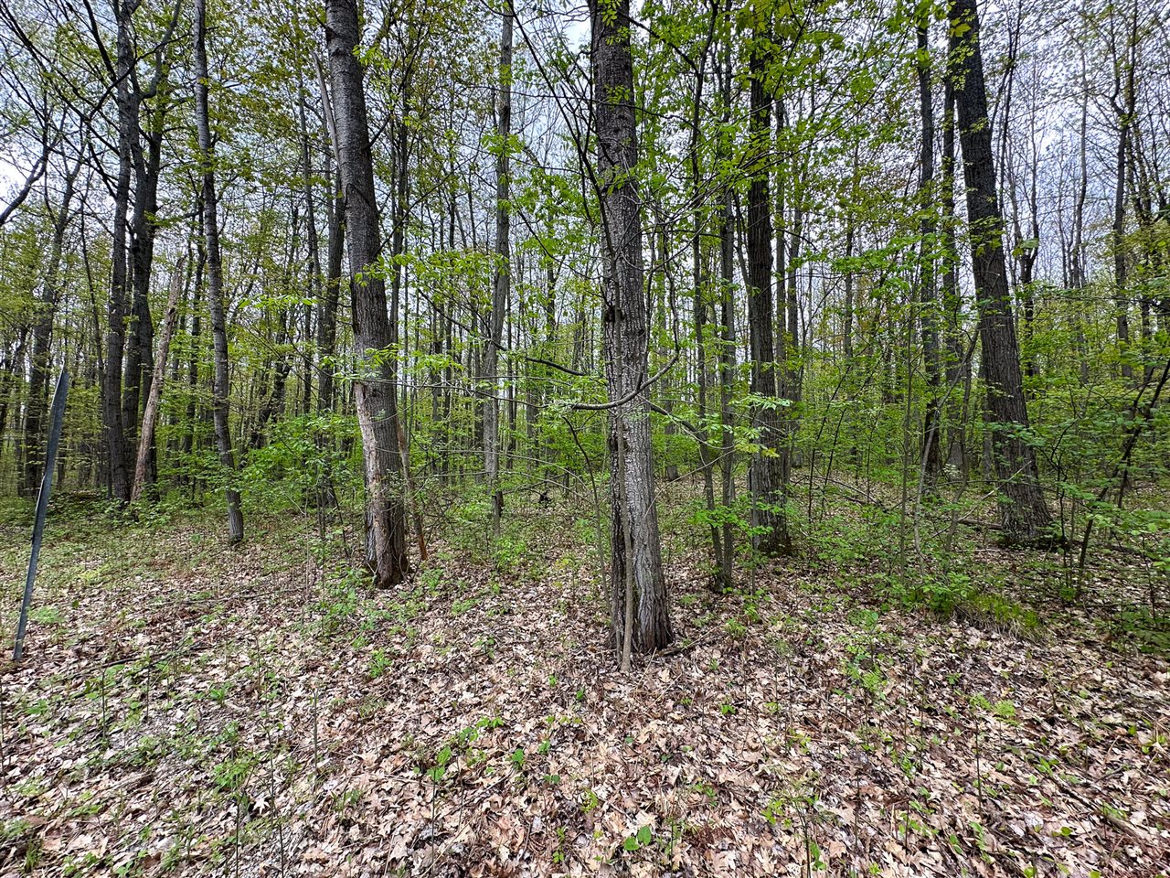 property viewer photo 5