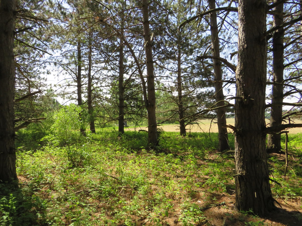 main property photo 27