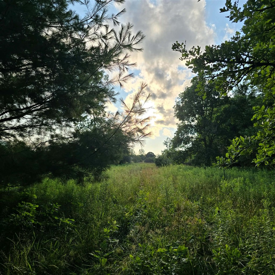 main property photo 39