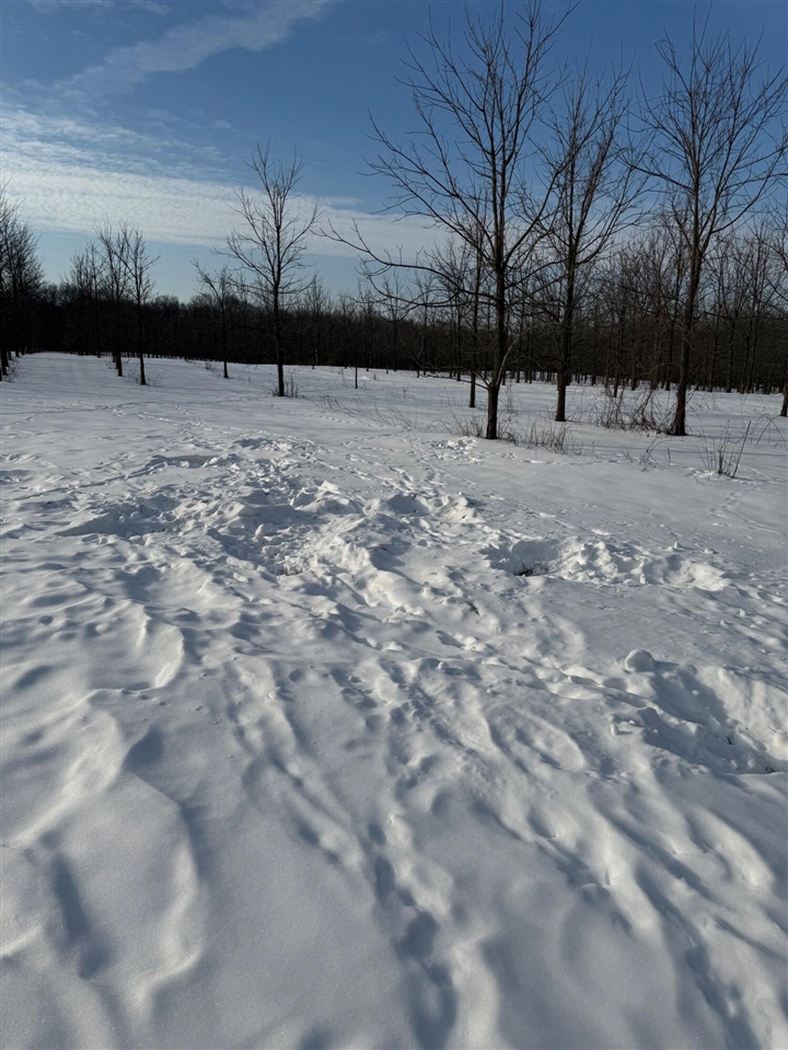 main property photo 42