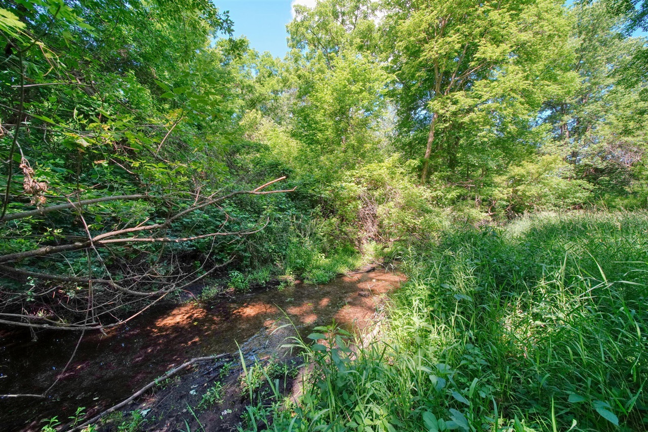 main property photo 54