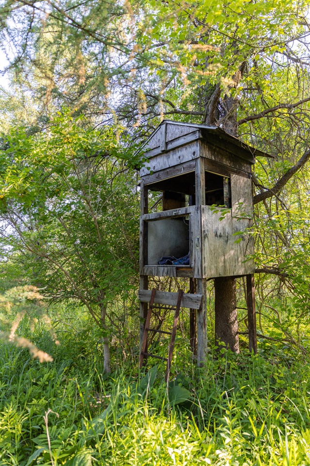 main property photo 21
