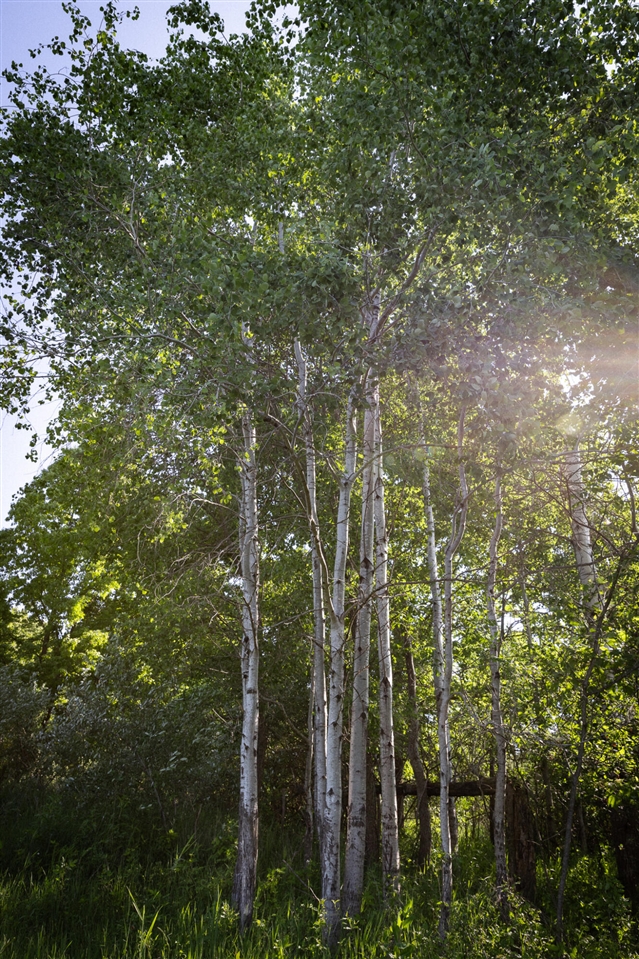 main property photo 37