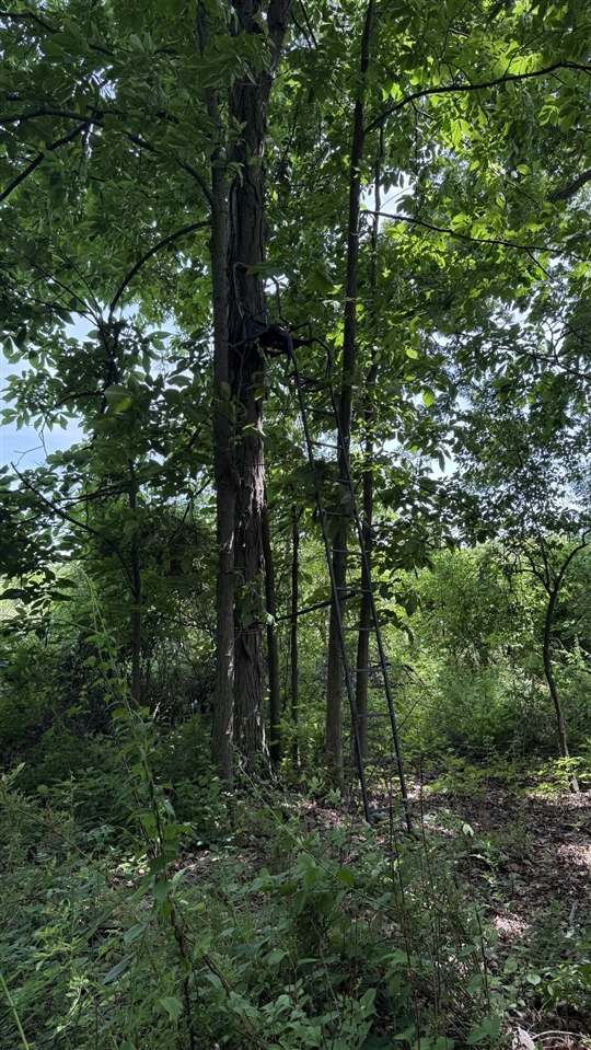 main property photo 11