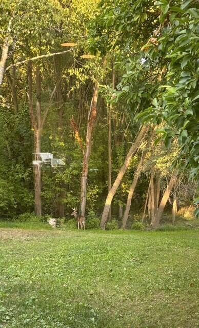 main property photo 65
