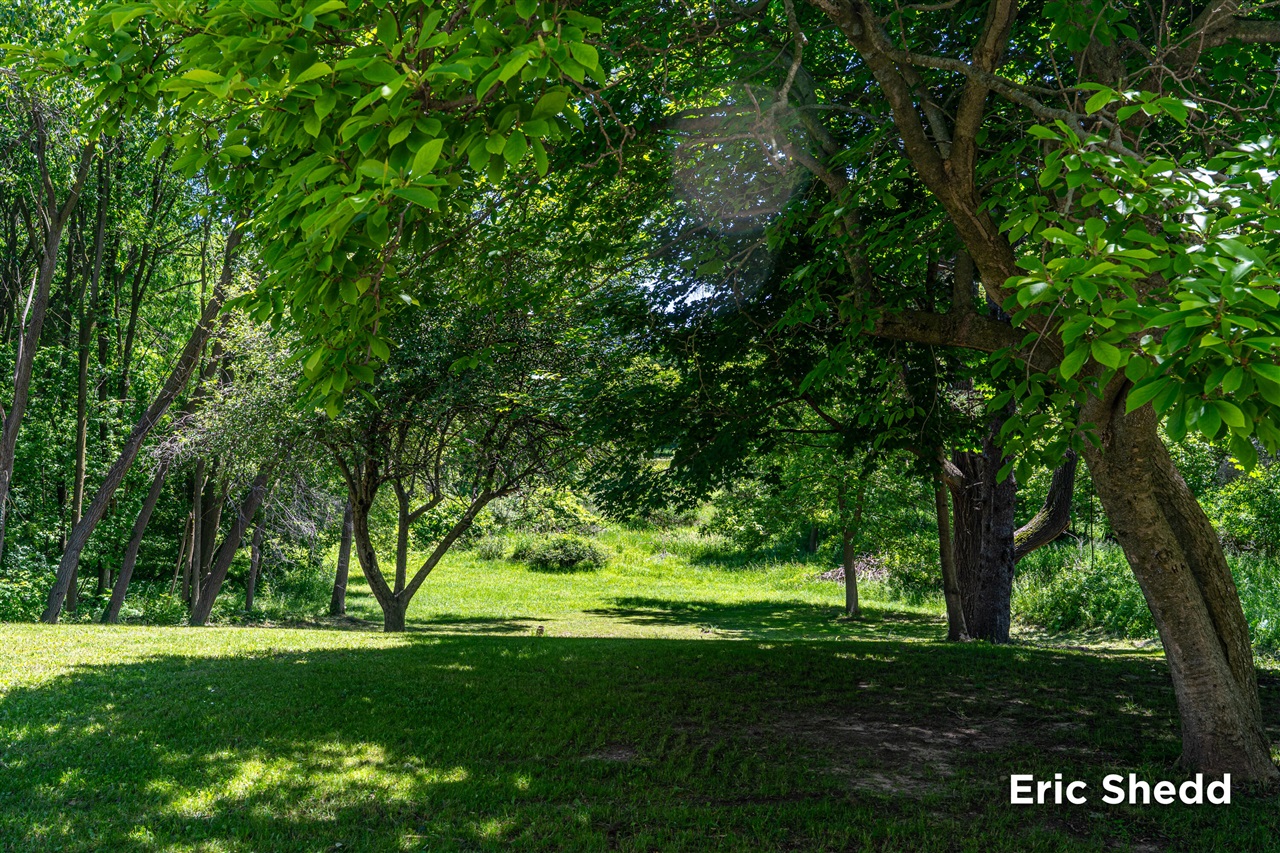 main property photo 71