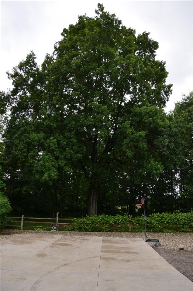 main property photo 68