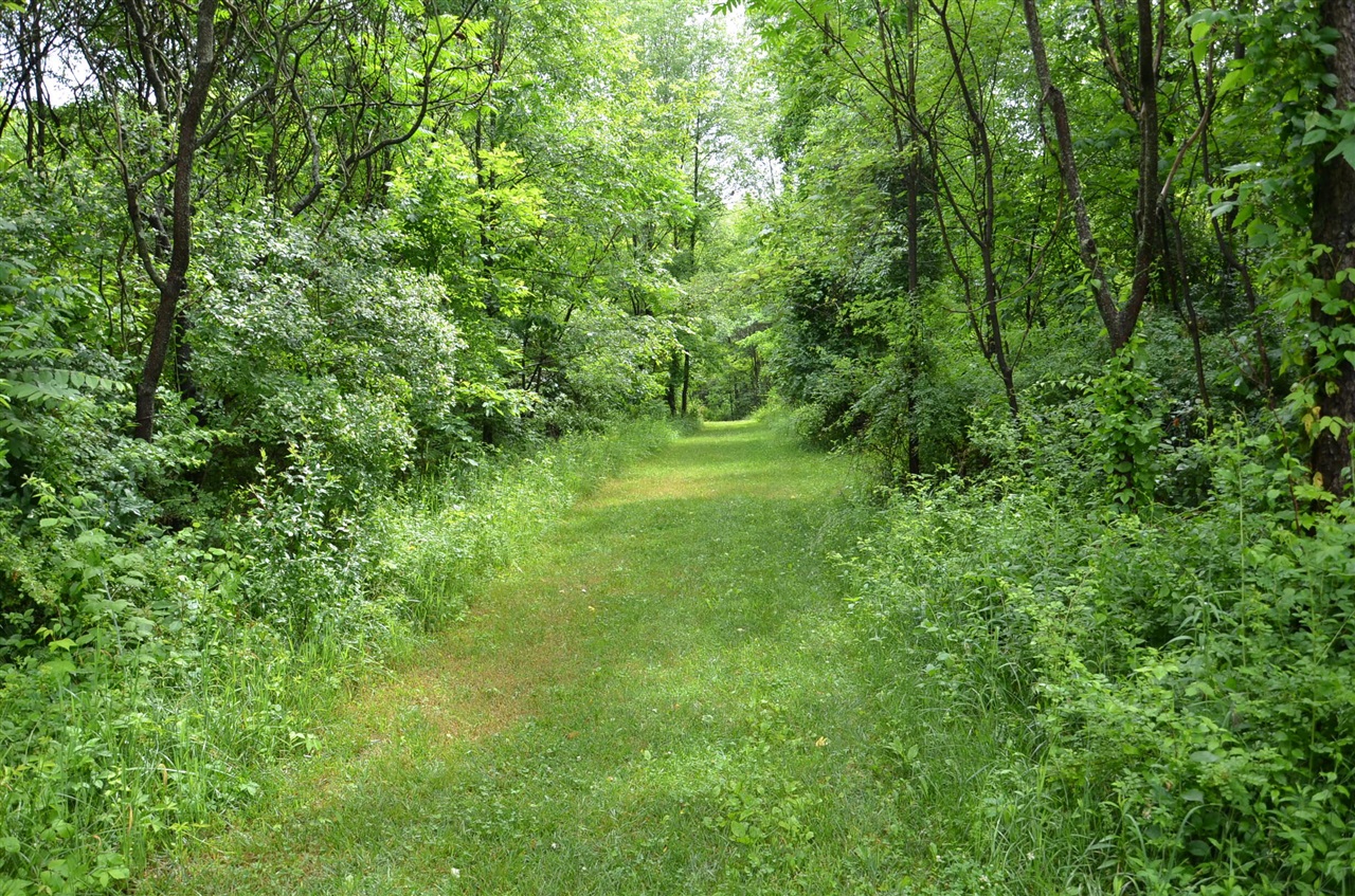 main property photo 75