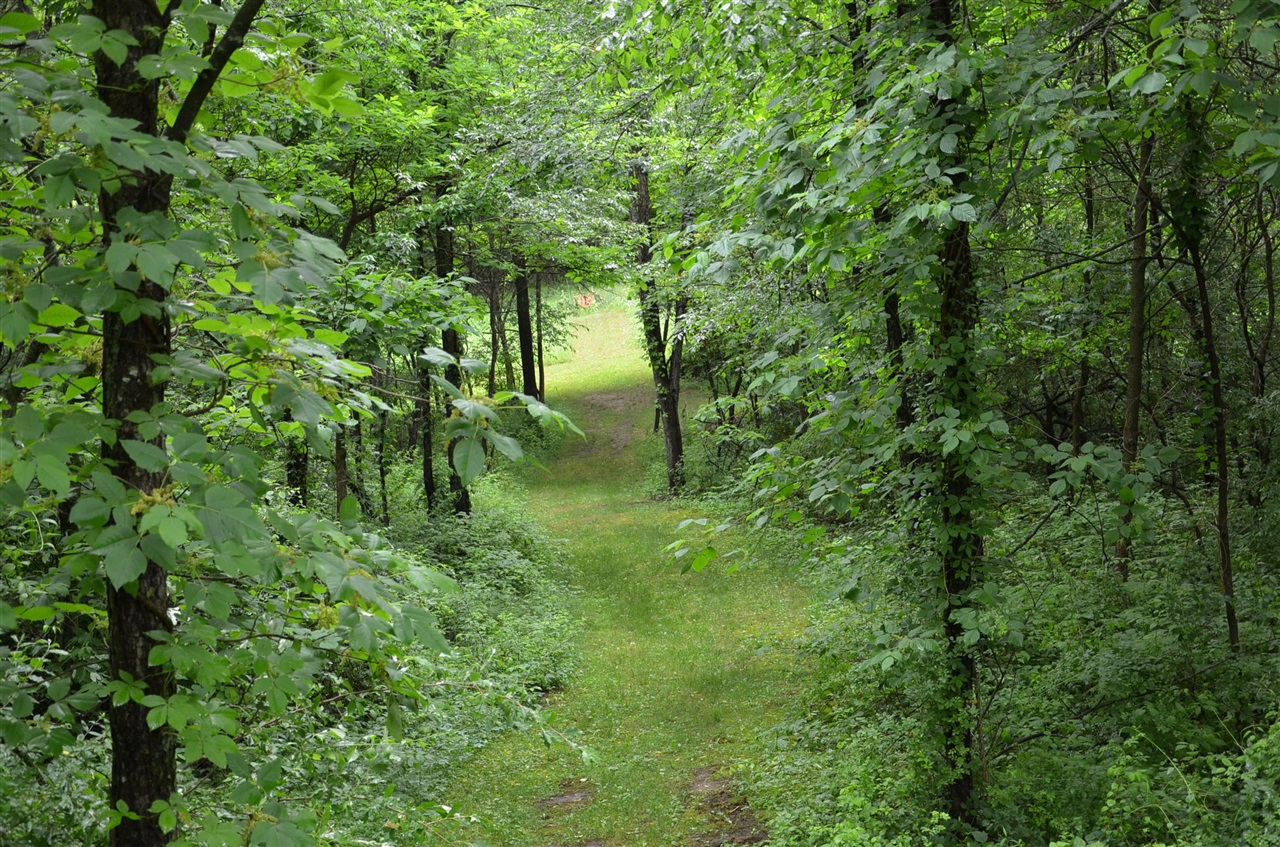 main property photo 78