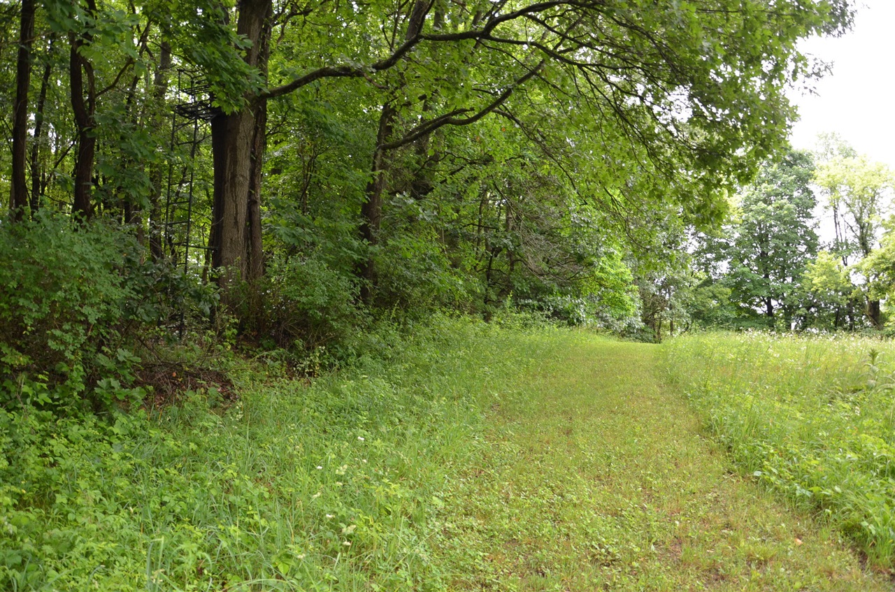 main property photo 83
