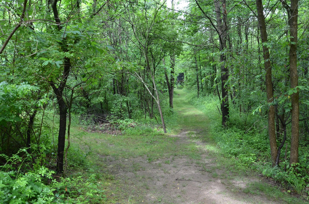 main property photo 86
