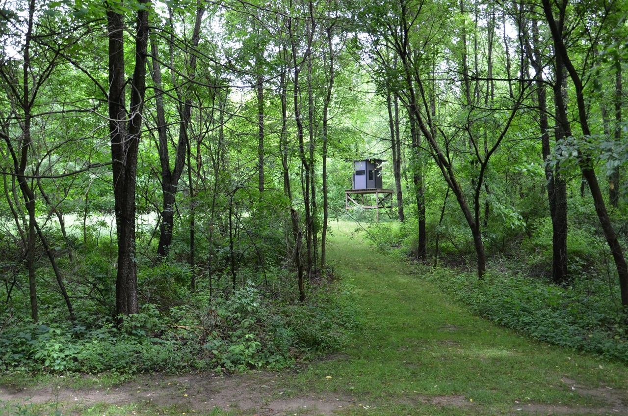 main property photo 88