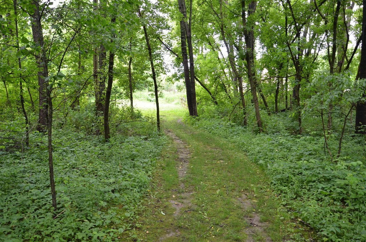 main property photo 89