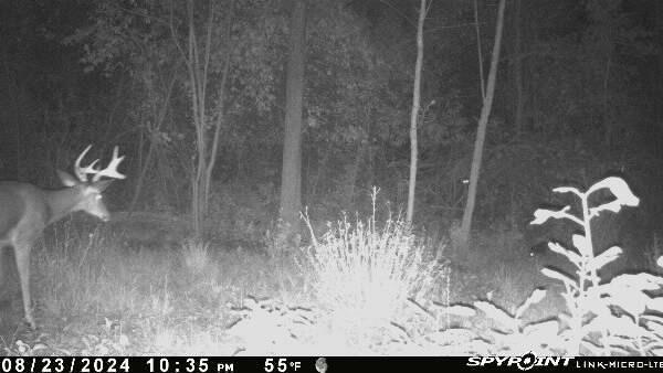 main property photo 10