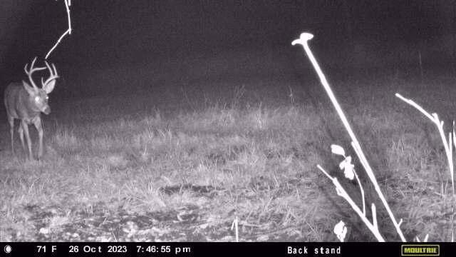 main property photo 9