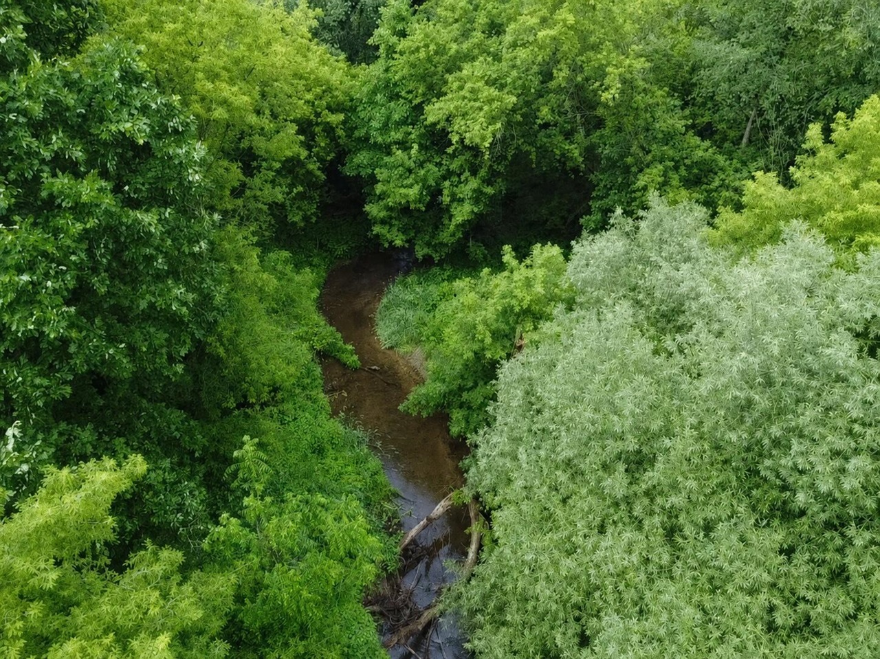 main property photo 0