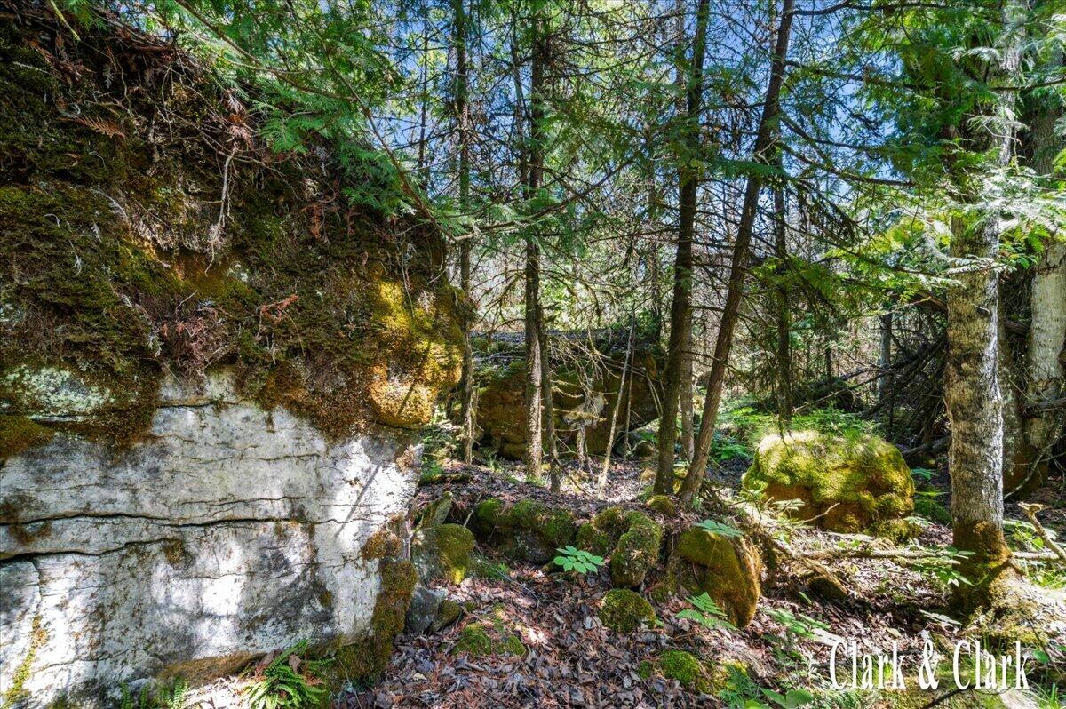 main property photo 62