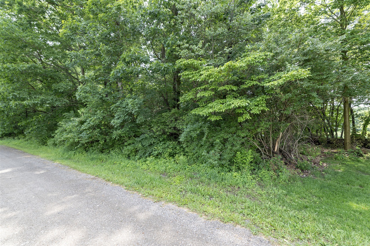 main property photo 5