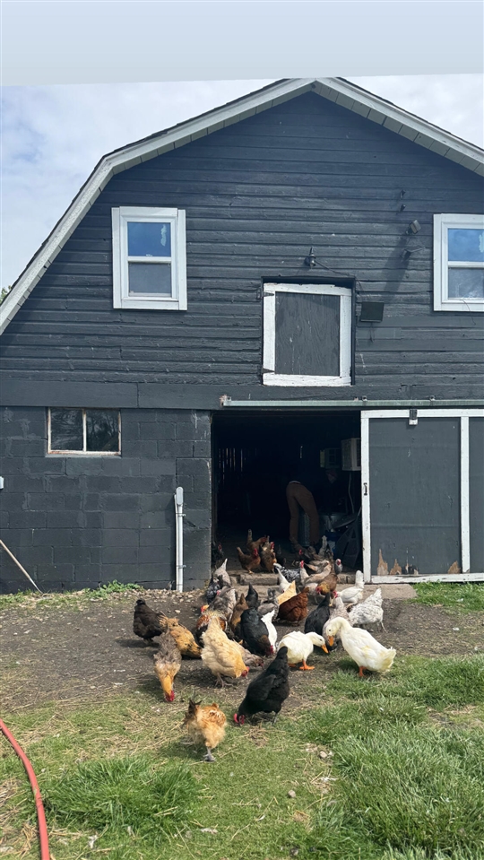 main property photo 35
