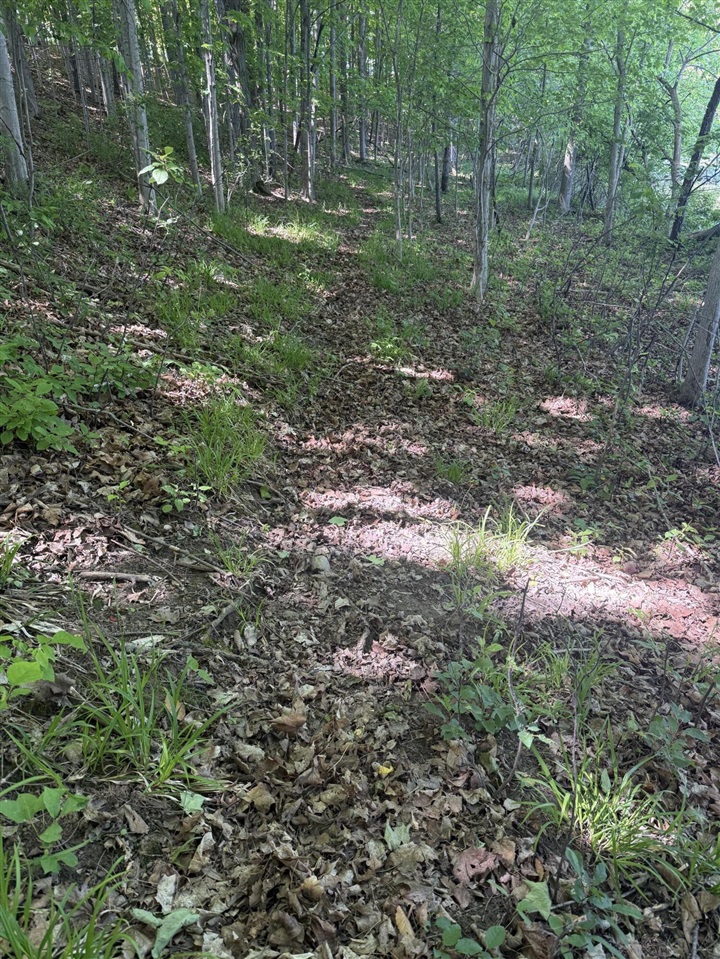 main property photo 11
