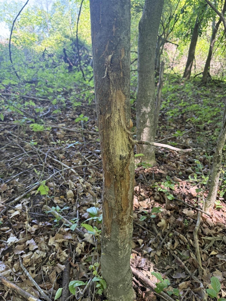main property photo 15