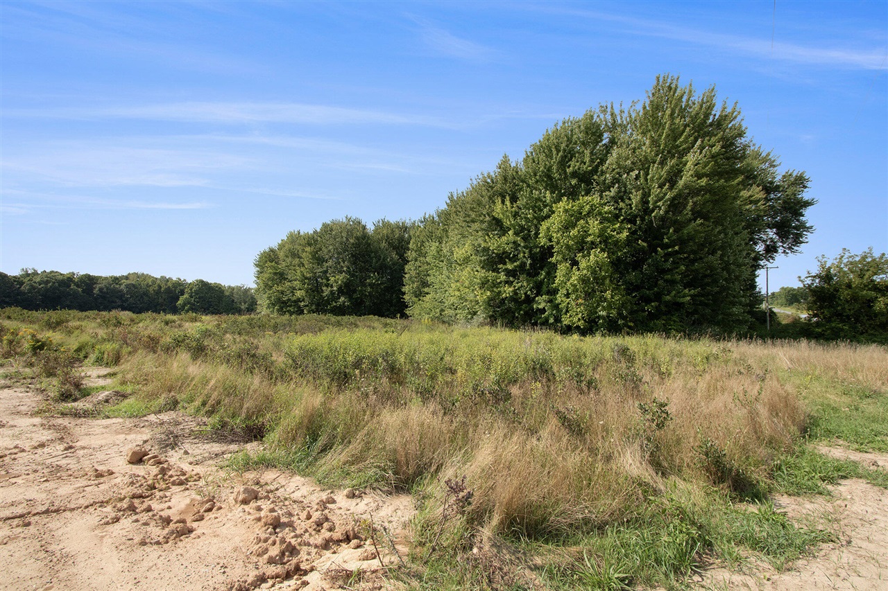 main property photo 6