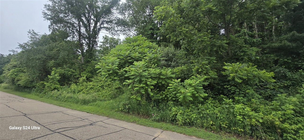 main property photo 0