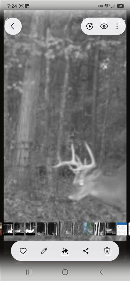 main property photo 87