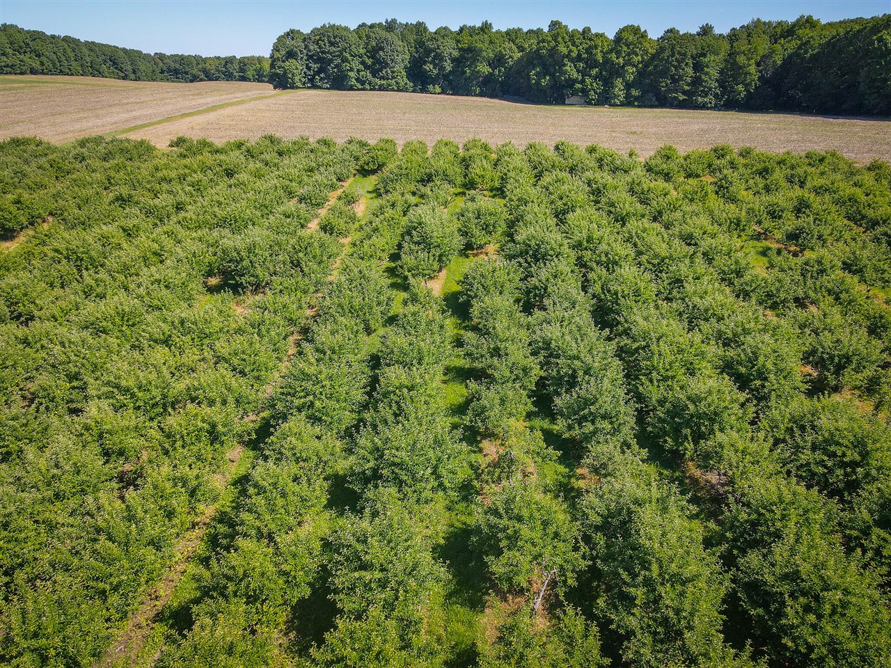 main property photo 20
