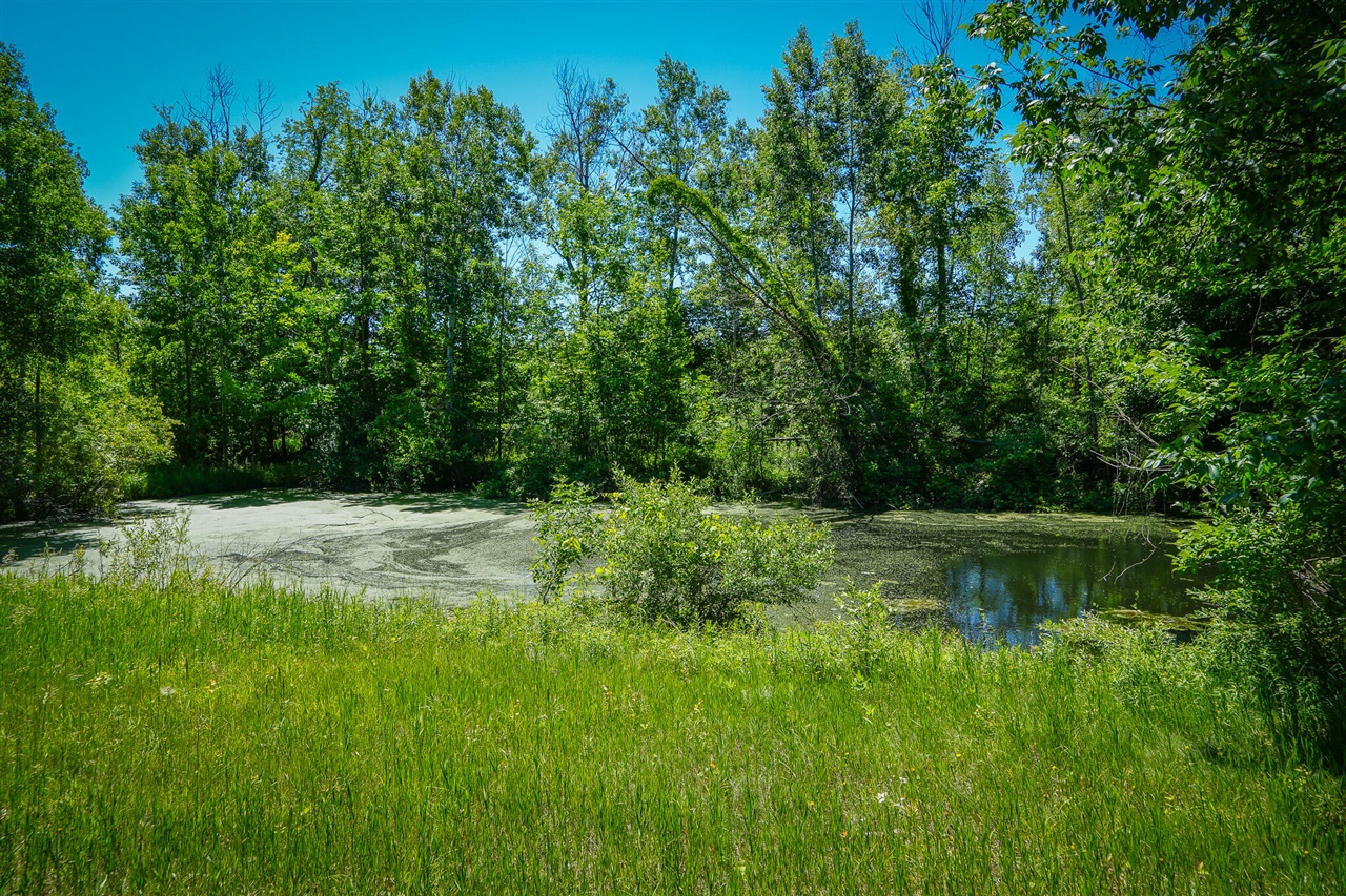 main property photo 82