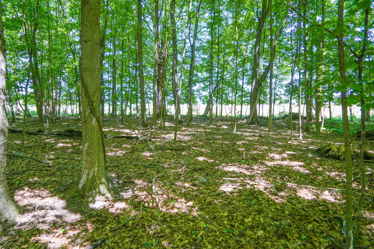 main property photo 83