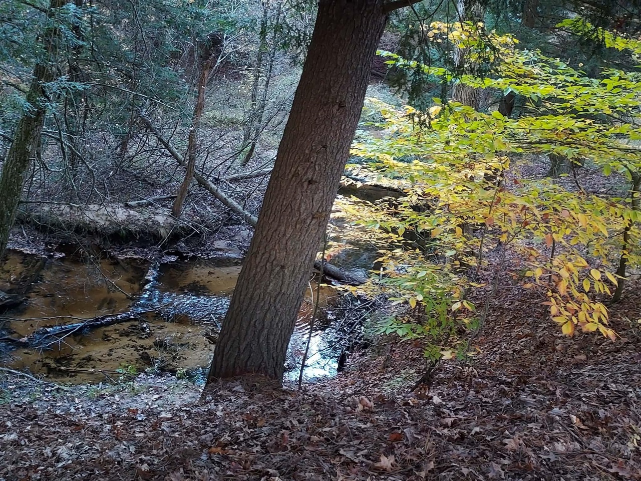 main property photo 43