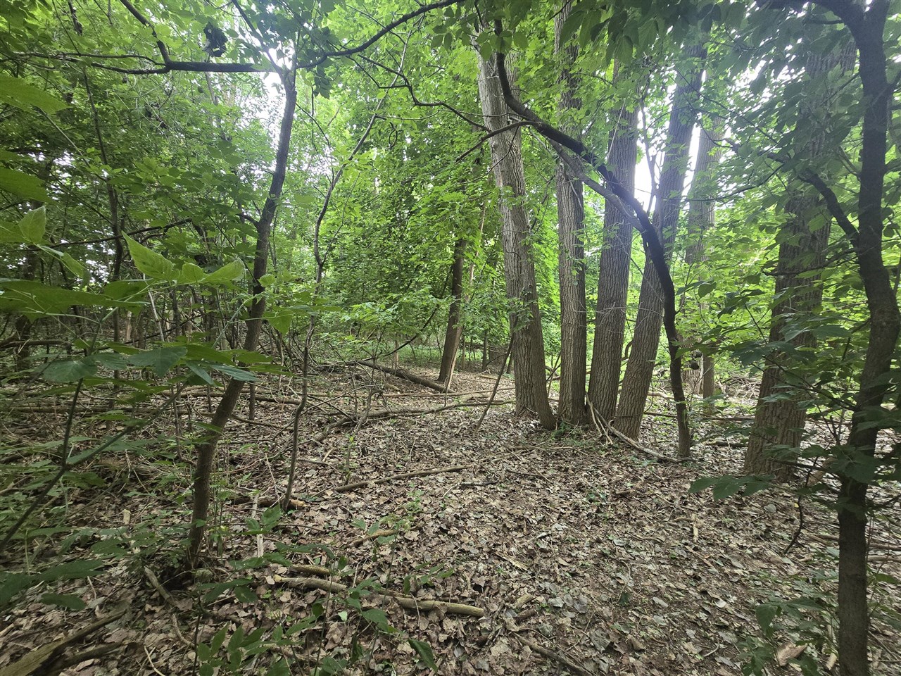 main property photo 6