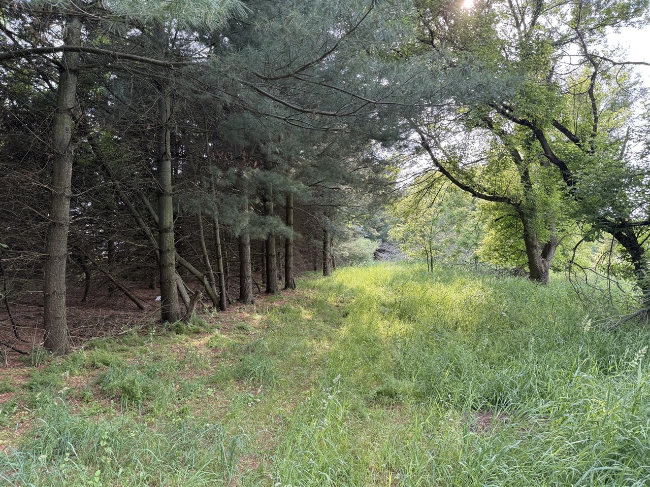 main property photo 27