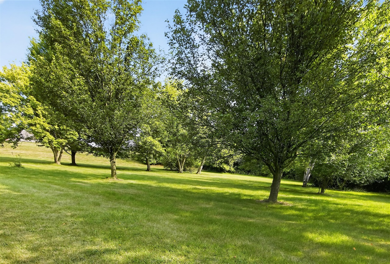 main property photo 61