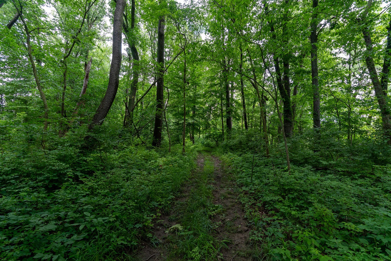 main property photo 43