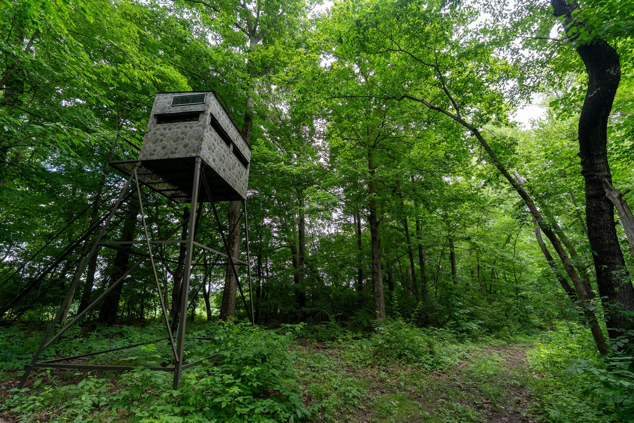 main property photo 46