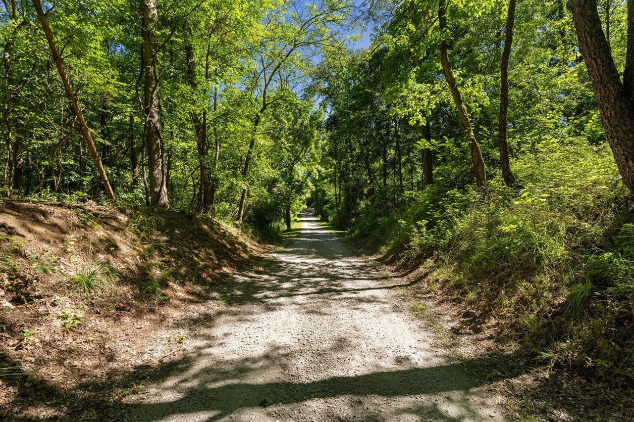 main property photo 51