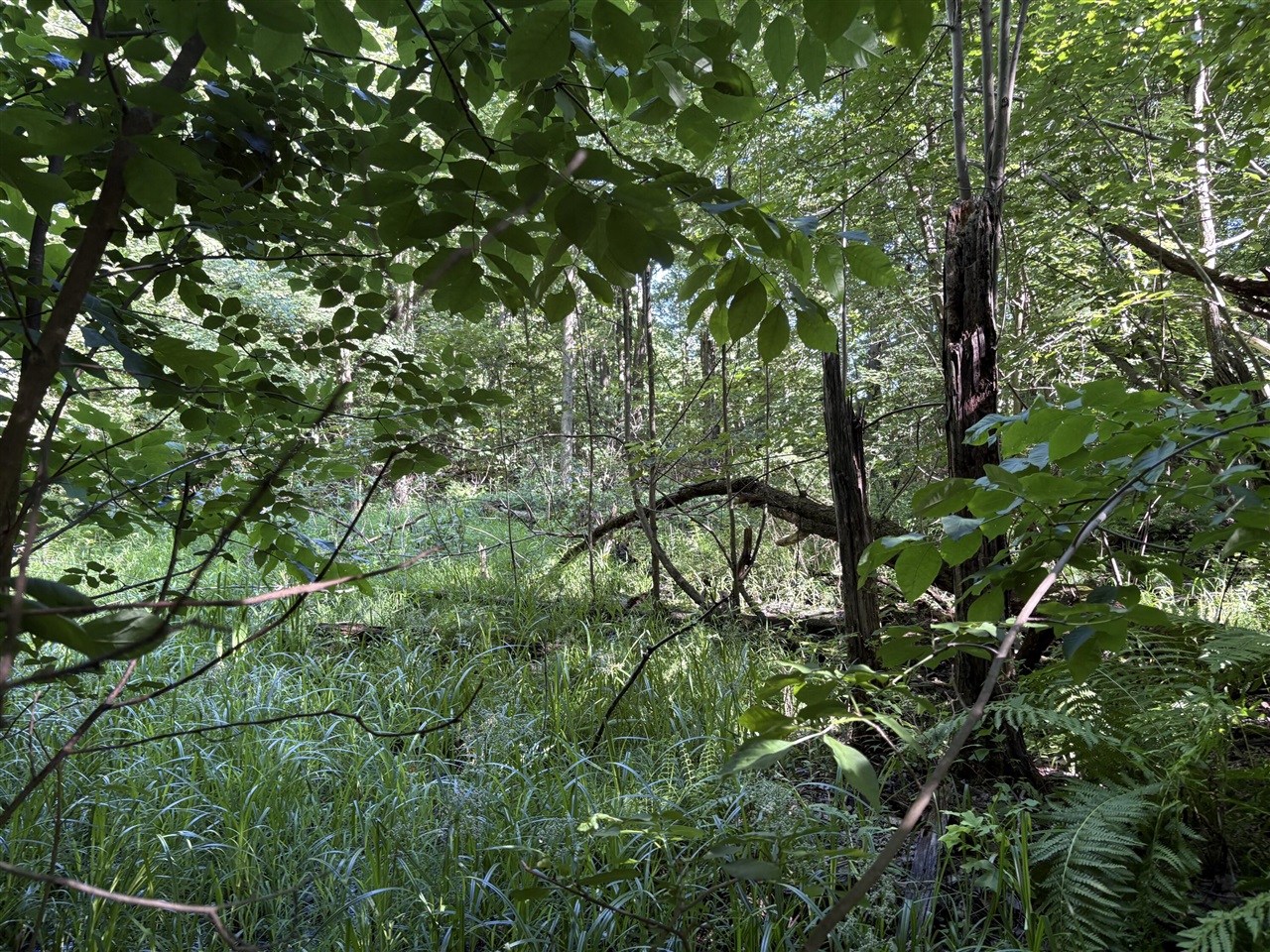 main property photo 0
