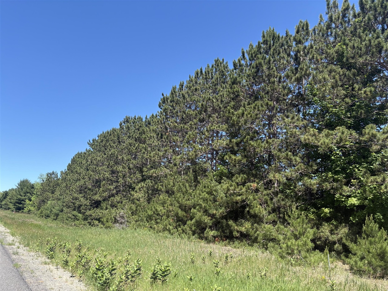 main property photo 0