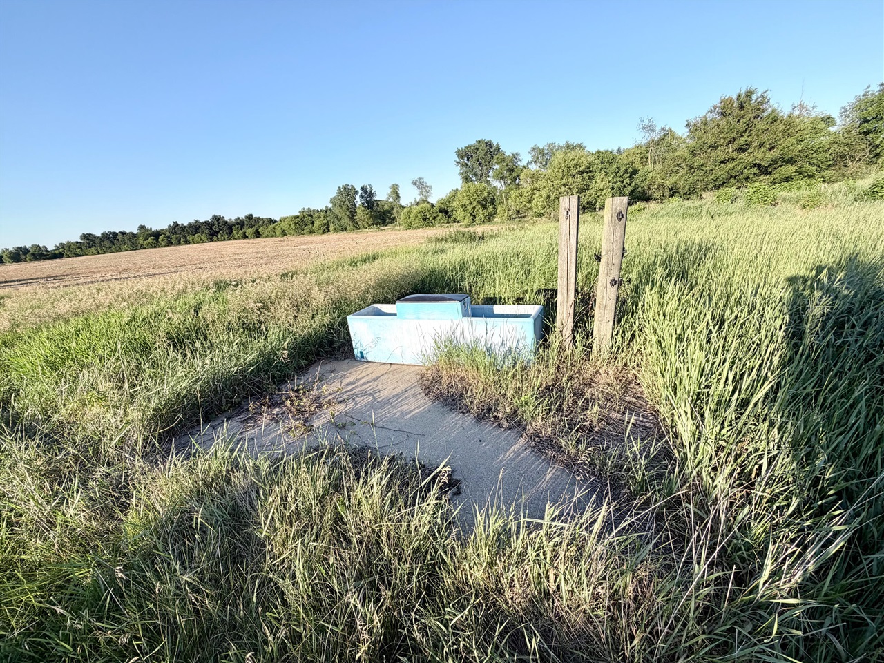 main property photo 14