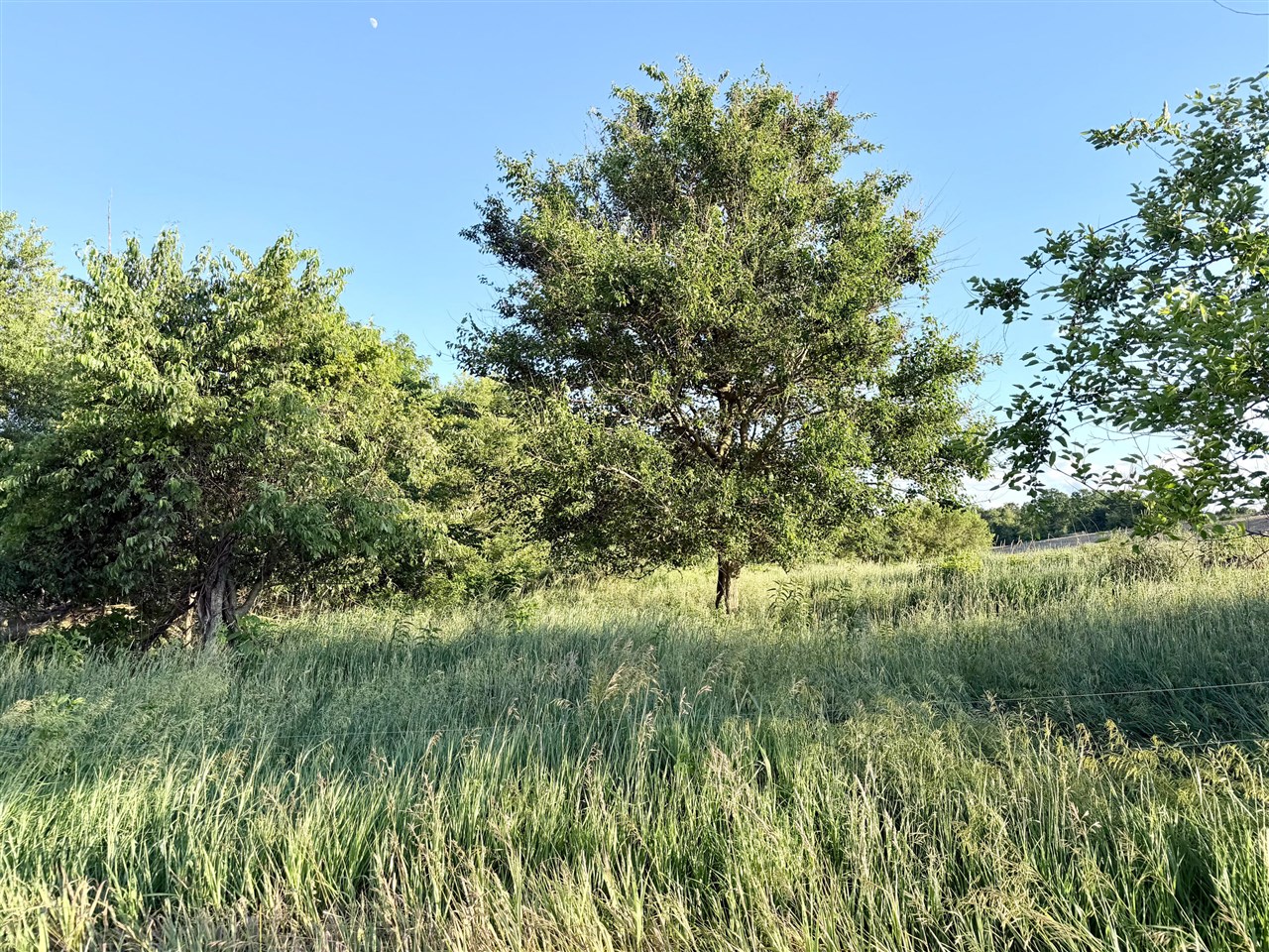 main property photo 16