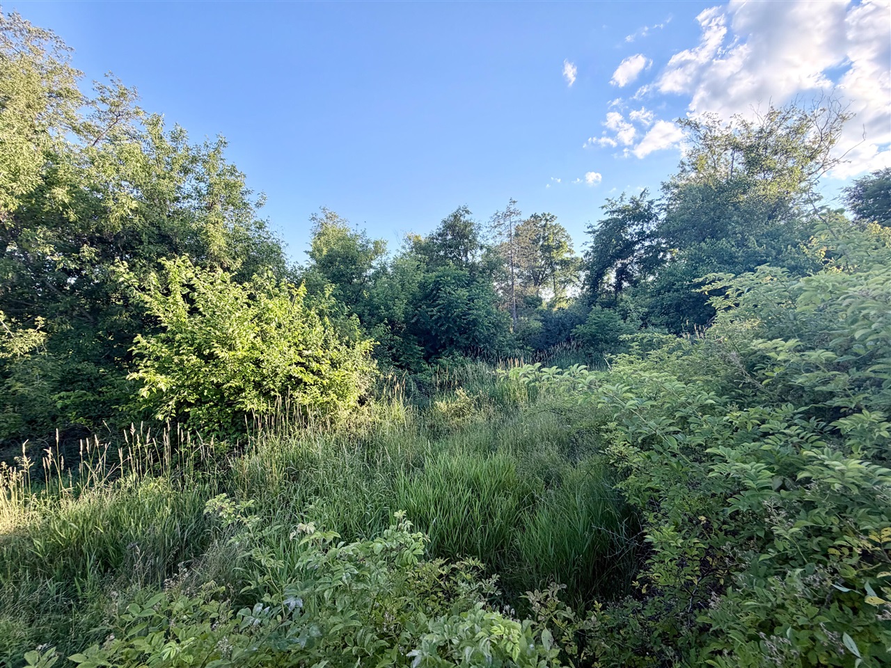 main property photo 28