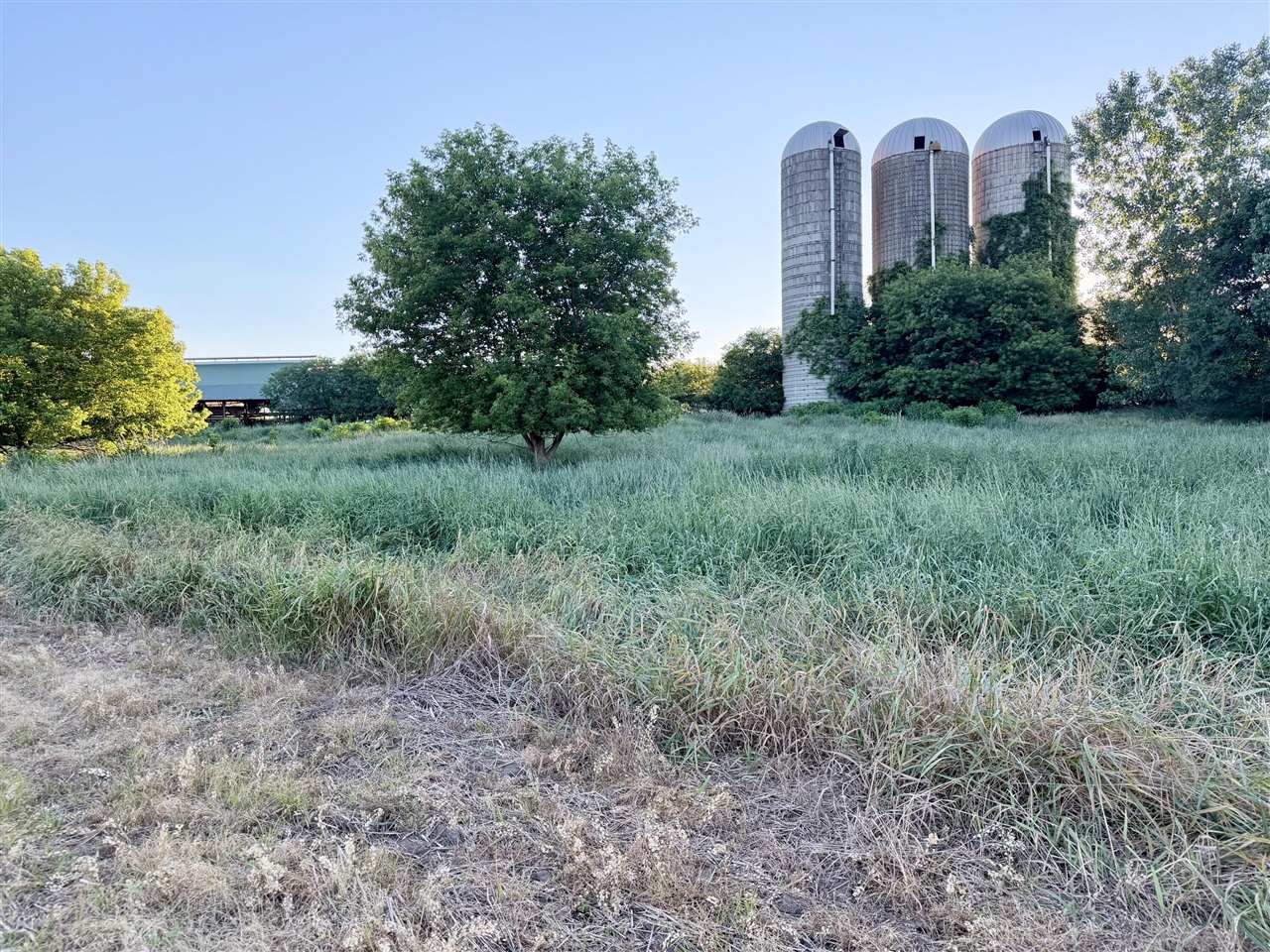 main property photo 56